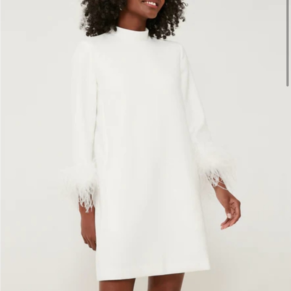 Perfect for Brides! Tuckernuck Elegant White Feather Trim Dress - Picture 4 of 6